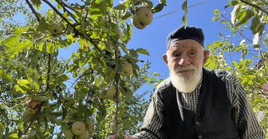 Kaya Bulut, 98, poses next to his fruit trees in his garden, Sivas, Türkiye, Sept. 12, 2024. (IHA Photo)
