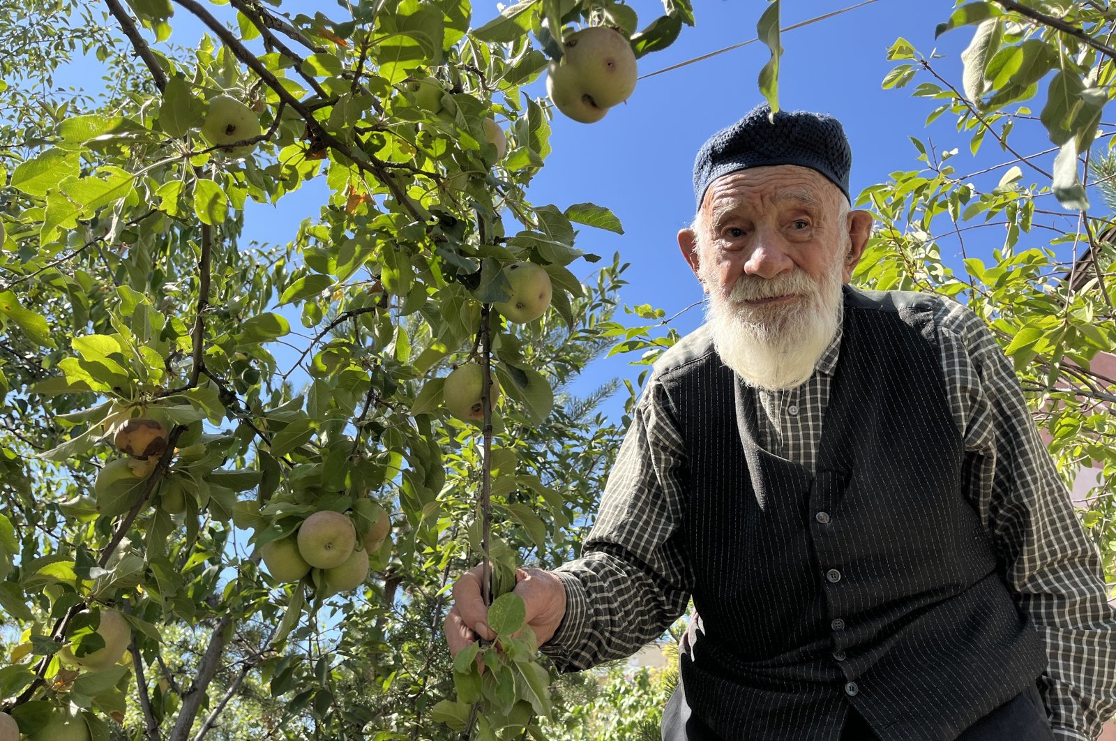 Kaya Bulut, 98, poses next to his fruit trees in his garden, Sivas, Türkiye, Sept. 12, 2024. (IHA Photo)