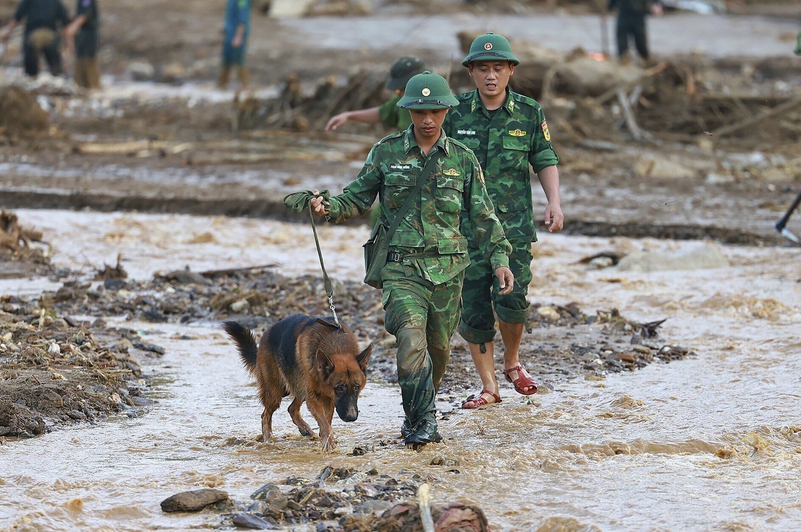 Rescue workers and a sniffing dog search for the missing after a flash flood buries a hamlet in mud and debris in the aftermath of Typhoon Yagi in Lao Cai province, Vietnam, Sept. 12, 2024. (AP Photo)