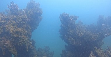 The 34.6-meter microbialite at the Van Lake, Bitlis, Türkiye, Sept. 16, 2024. (DHA Photo)