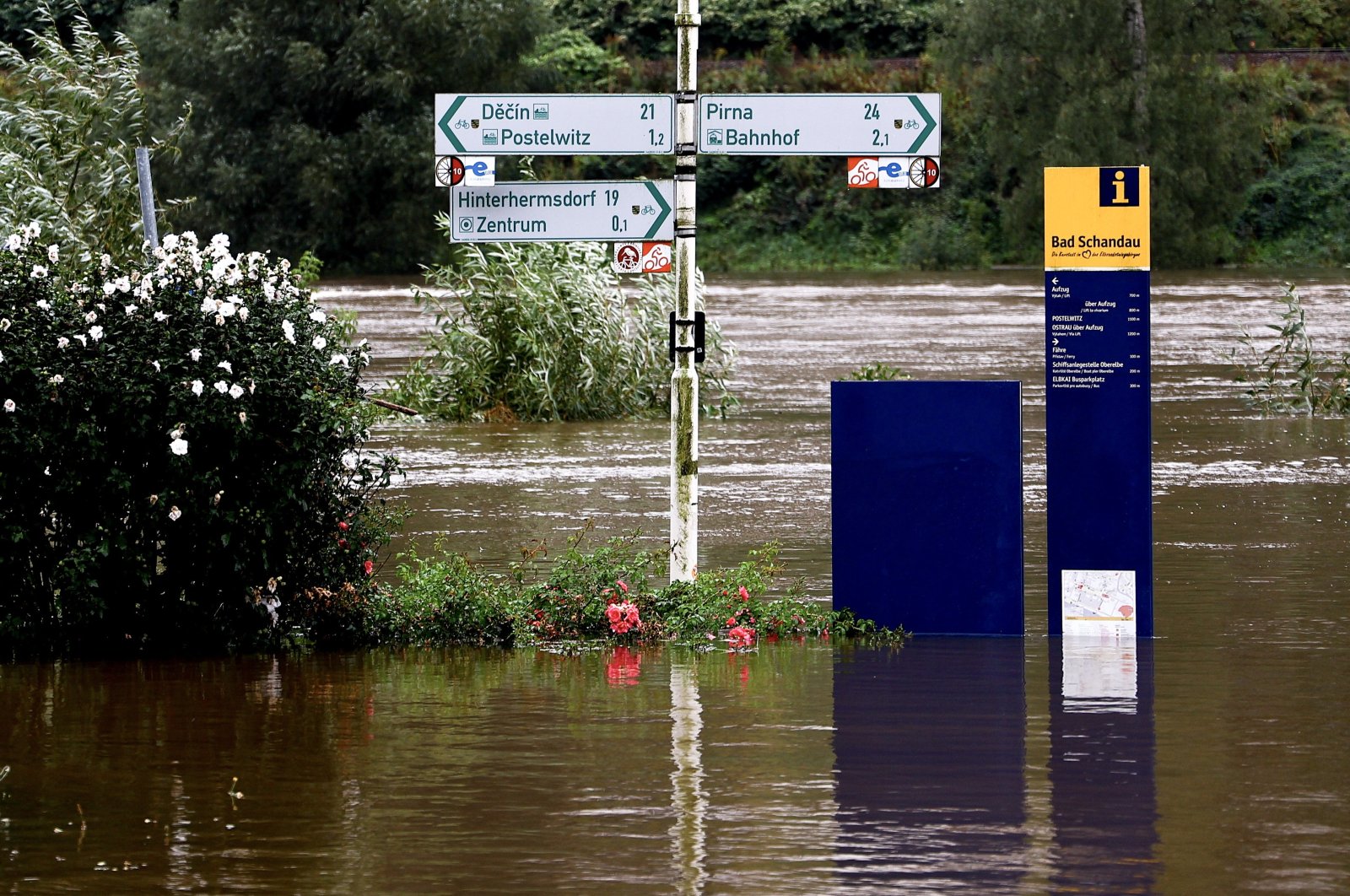 Road signs stand amid the floodwater from the swollen Elbe River, Saxony, Germany, Sept. 16, 2024. (EPA Photo)