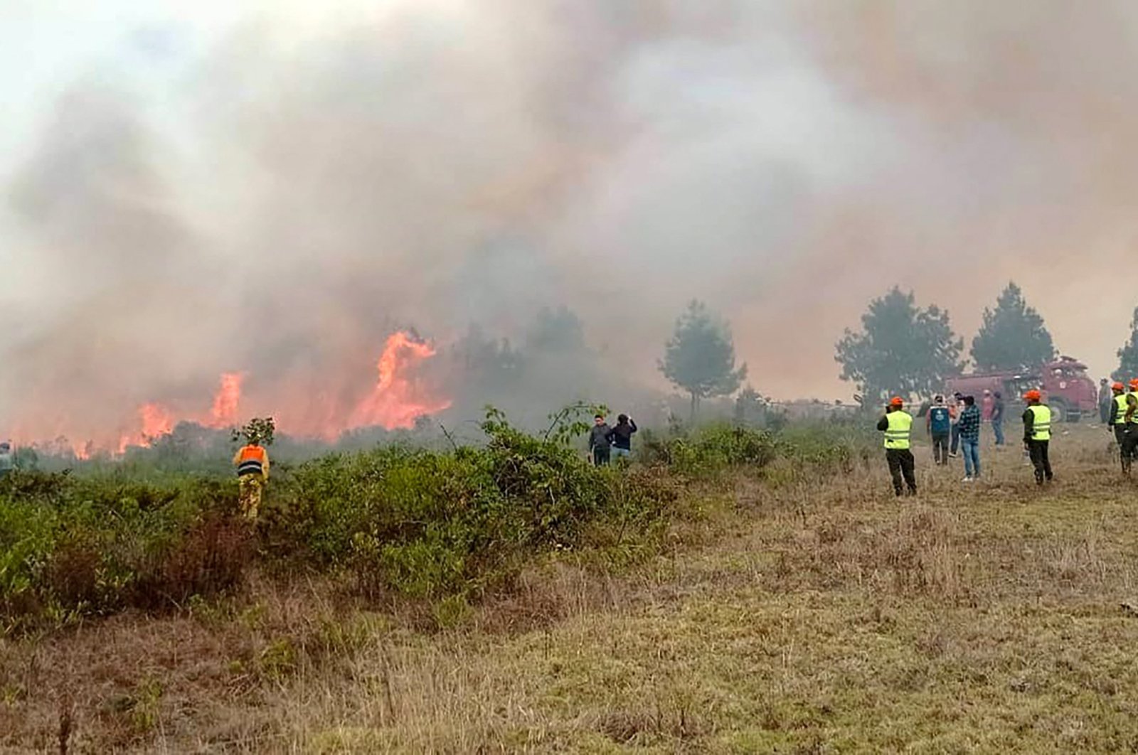 Firefighters and volunteers try to extinguish a forest fire in the Amazon Region, northern Peru, Sept. 16, 2024. (AFP Photo)