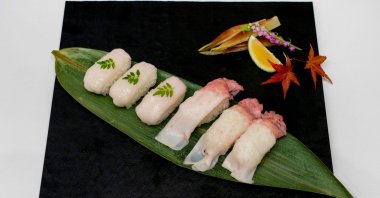 A plate of sushi made from raw fin whale meat is displayed at the exhibition at Tokyo&#039;s Toyosu market, Japan, Sept. 13, 2024. (AFP P hoto)