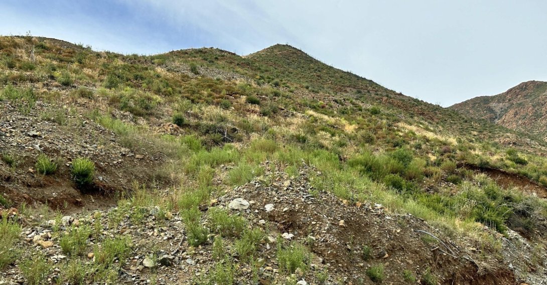 Muğla&#039;s mountains are once again green after the massive fires in 2022, Marmaris, Türkiye, Sept. 19, 2024. (DHA Photo)