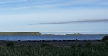 This undated photo provided by Aleut Community of St. Paul Island Ecosystem Conservation Office shows a view of St. Paul Island, Alaska, including the developed area that includes homes and water towers. (AP Photo)