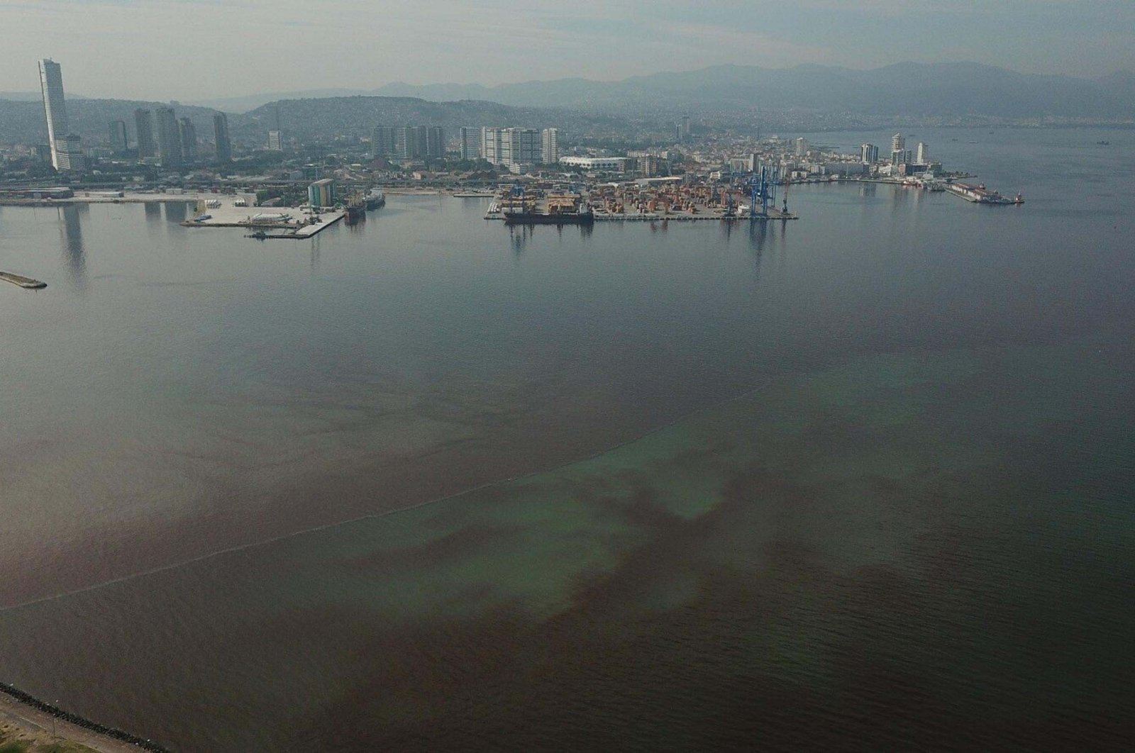 Aerial views reveal that the color of Izmir Bay is turning green, Izmir, Türkiye, Sept. 22, 2024. (DHA Photo) 