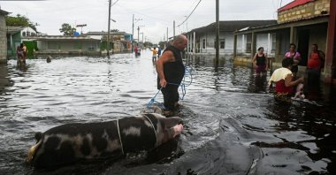 A man carries his pig in a flooded street following the passage of Hurricane Helene, Batabano, Mayabeque province, Cuba, Sept. 26, 2024. (AFP Photo)