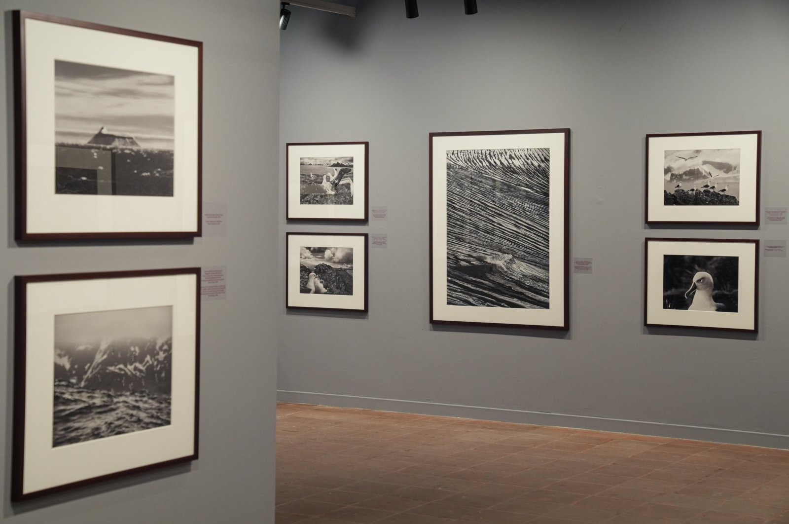 Sebastiao Salgado&#039;s exhibition titled &quot;Genesis&quot; is being held at MSGSÜ Tophane-i Amire, Istanbul, Türkiye, Sept. 28, 2024. (AA Photo)