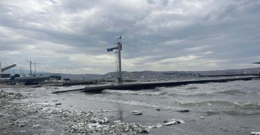 Dead fish are scattered across the shore of Izmir Bay as pollution and foul odors continue, Izmir, Türkiye, Oct. 1, 2024. (DHA Photo)