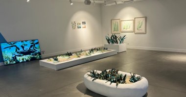 A selection of artworks from the exhibition &quot;Kıyının Getirdikleri&quot; at MeshRu Istanbul, Türkiye, Oct. 3, 2024. (AA Photo)