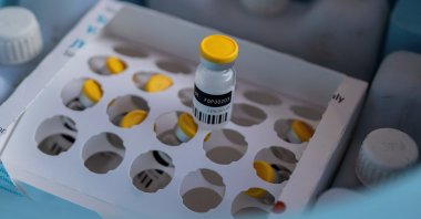 A mpox vaccine bottle stands in a package as Congolese health officials prepare to administer vaccinations, in Goma, North Kivu province, Democratic Republic of Congo, Oct. 5, 2024. (Reuters Photo)