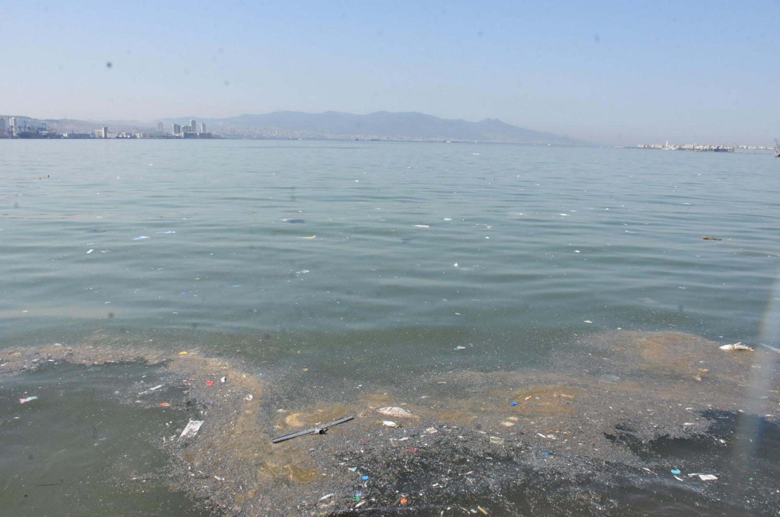 Dead fish float in the discolored water of Izmir Bay, Izmir, Türkiye, Sept. 17, 2024. (DHA Photo)