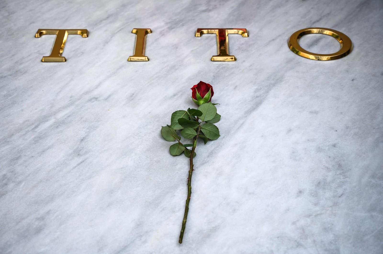 A red rose is laid by an admirer of Josip Broz Tito (1892-1980), former president of communist Yugoslavia, at his resting place inside the &quot;House of Flowers,&quot; located in the Museum of Yugoslav History in Dedinje neighborhood, Belgrade, Serbia, May 4, 2020. (AFP Photo)