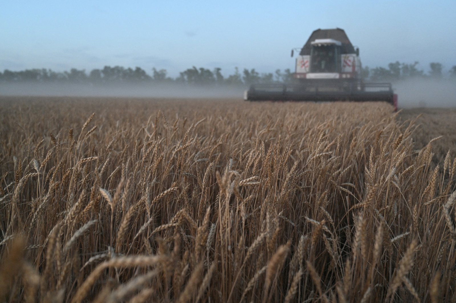 A combine harvests wheat in a field in the Rostov region, Russia, July 10, 2024. (Reuters Photo)