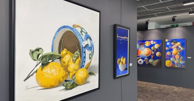 The artworks on display at the "Italian Painters in Adıyaman" exhibition, Adıyaman, Türkiye, Oct. 12, 2024. (AA Photo)