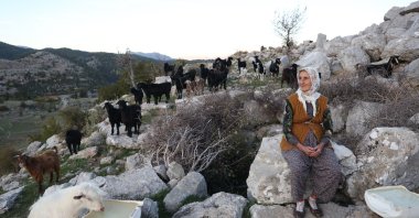 Fatma Sevinç tending to her goats near the ancient well, Selge Ancient City, Antalya, Türkiye, OCt. 18, 2024. (AA Photo)