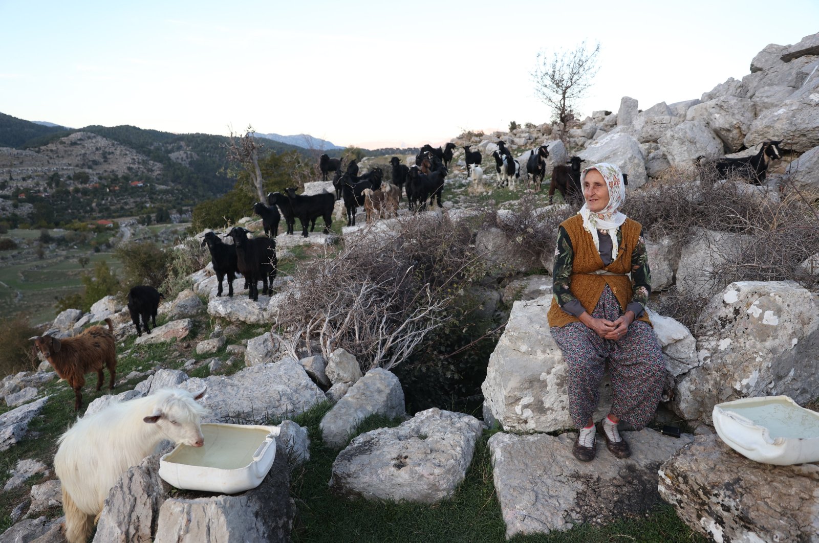 Fatma Sevinç tending to her goats near the ancient well, Selge Ancient City, Antalya, Türkiye, OCt. 18, 2024. (AA Photo)