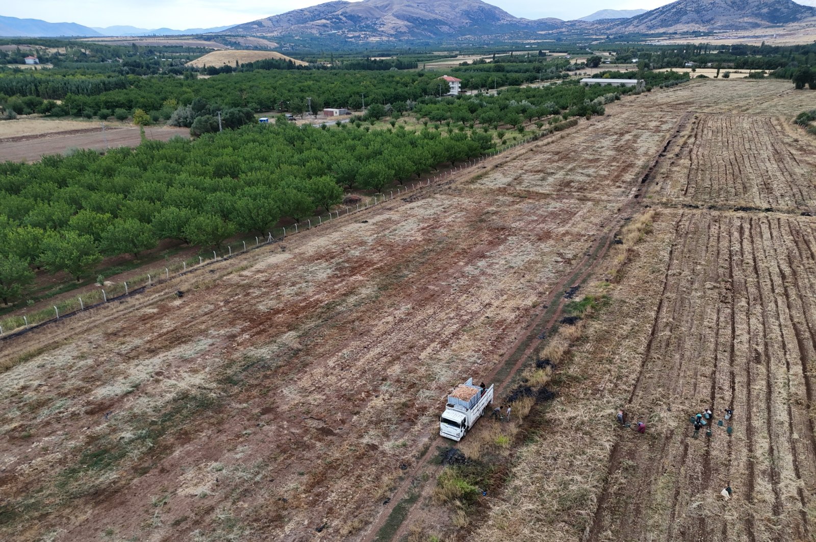 Farms in earthquake-affected regions receive aid from Kızılay, Malatya, Türkiye, Oct. 13, 2024. (AA Photo)