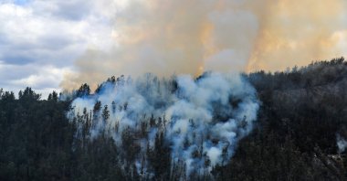 Smoke billows out from a forest fire in Quito, Ecuador, Sept. 25, 2024. (EPA Photo)