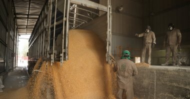 Workers unload a truck with GMO yellow corn imported from the U.S. at a cattle feed plant in Tepexpan, Mexico, March 15, 2023. (Reuters File Photo)