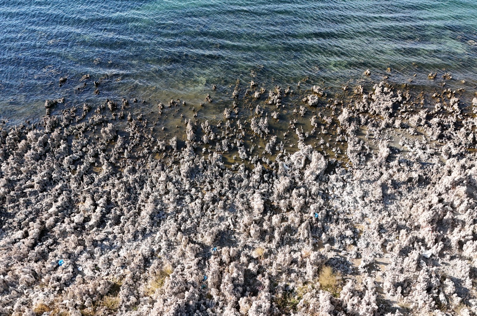 Microbialites emerge along the shores of Van Lake as water levels decline in Bitlis, Türkiye, Oct. 22, 2024. (DHA Photo) 