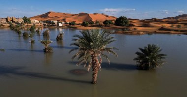 A drone view shows sand dunes and palm trees partially covered by floodwaters, after rare rainfall hit the area last September, Merzouga, Morocco, Oct. 24, 2024. (Reuters Photo)