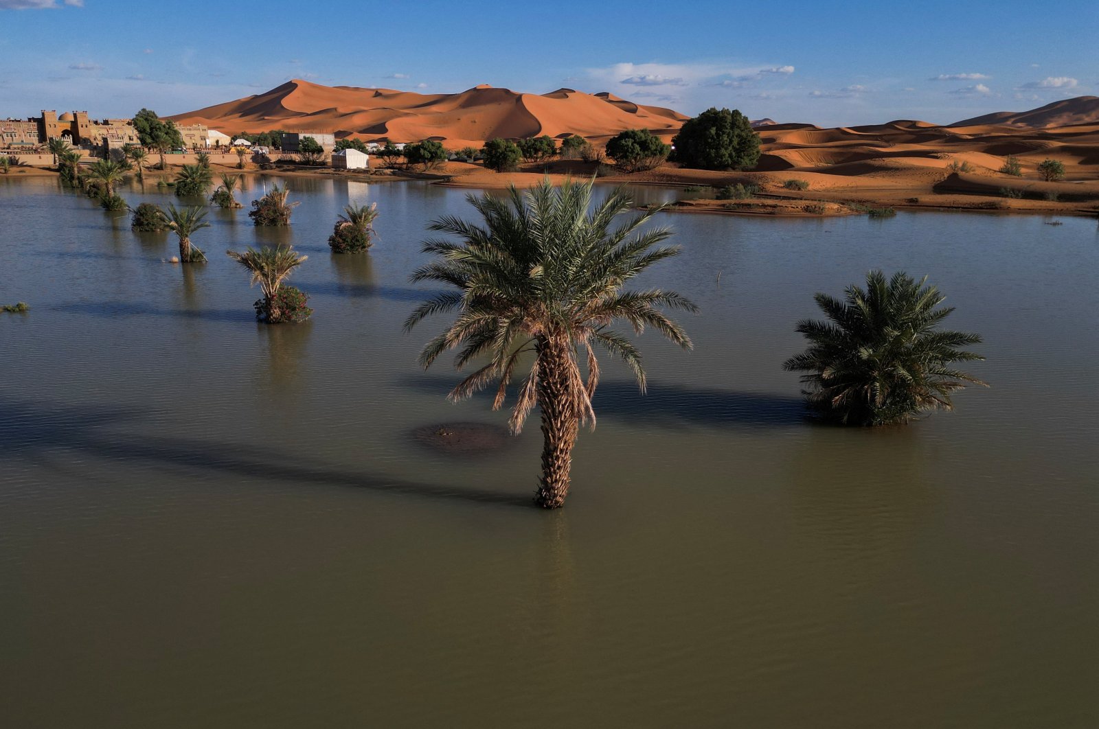 A drone view shows sand dunes and palm trees partially covered by floodwaters, after rare rainfall hit the area last September, Merzouga, Morocco, Oct. 24, 2024. (Reuters Photo)