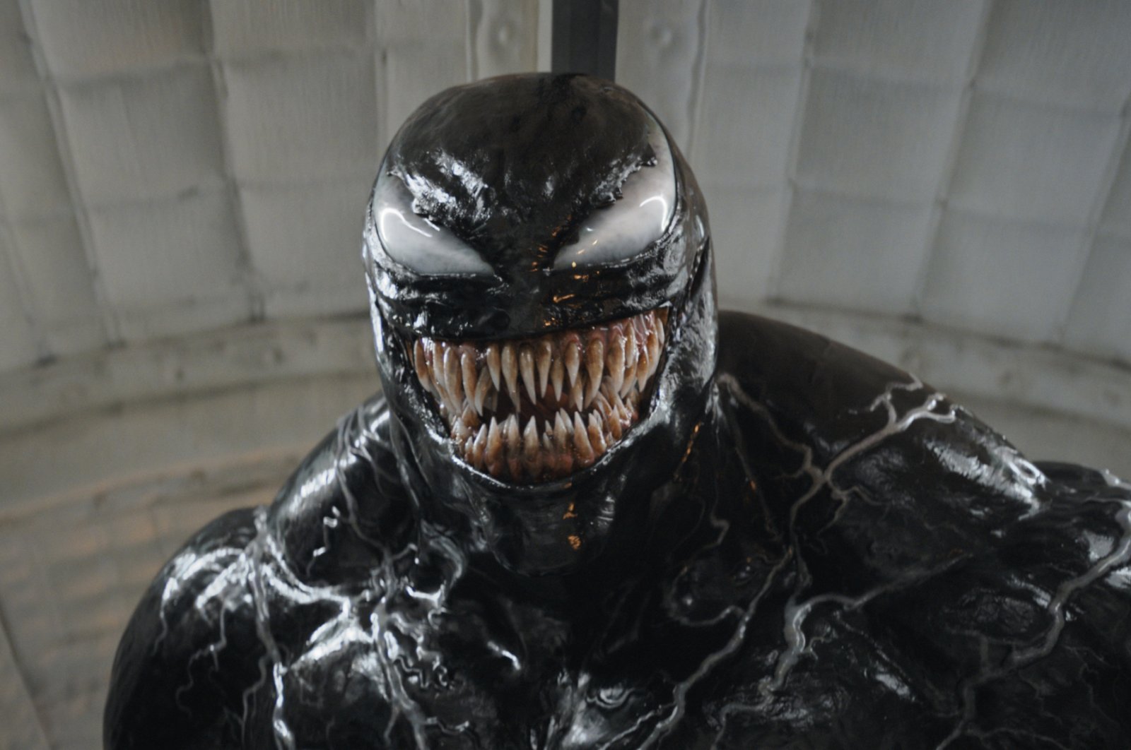 This image released by Sony Pictures shows a scene from &quot;Venom: The Last Dance.&quot; (AP Photo)