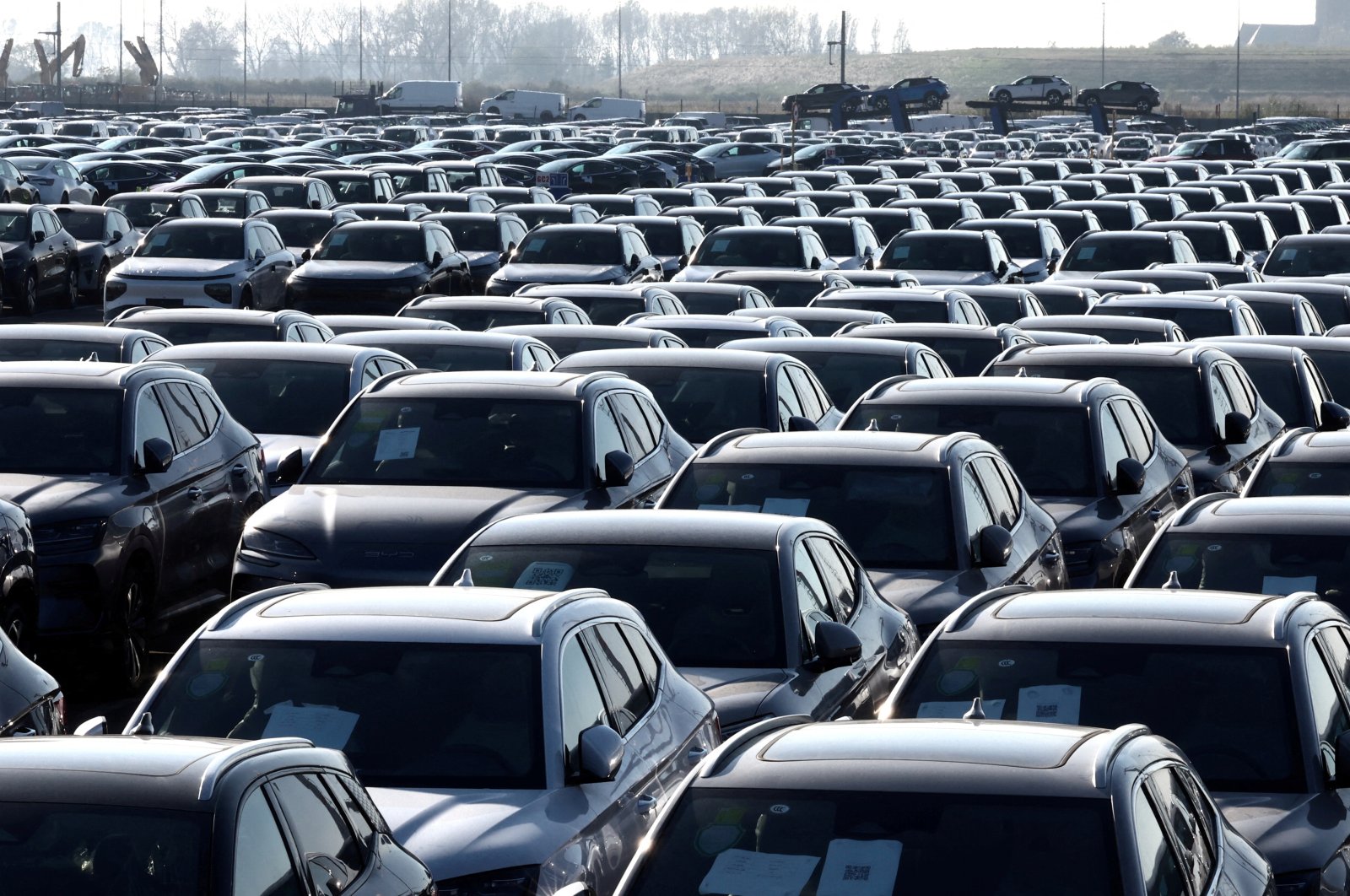 New cars, among them new China-built electric vehicles of the company BYD, are seen parked in the port of Zeebrugge, Belgium, Oct. 24, 2024. (Reuters Photo)