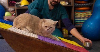 Ekmek attends her activities for her weight loss process, Istanbul, Türkiye, Oct. 28, 2024. (AA Photo)