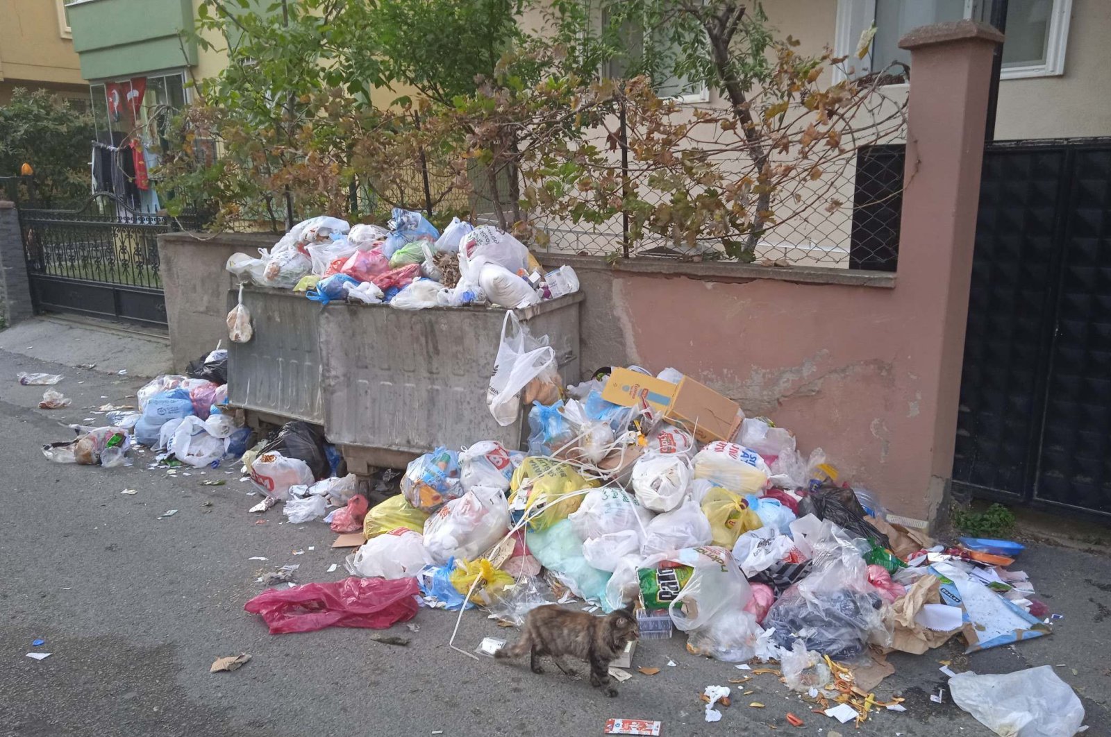 A dumpster overflows with bags of uncollected trash, Kartal, Istanbul, Türkiye, Nov. 1, 2024. (DHA Photo)