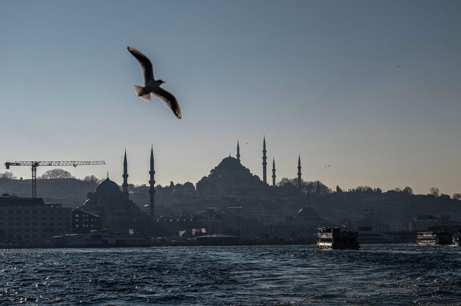 A seagull flies over the Bosporus in Istanbul, Türkiye, Feb. 22, 2024. (AFP Photo)