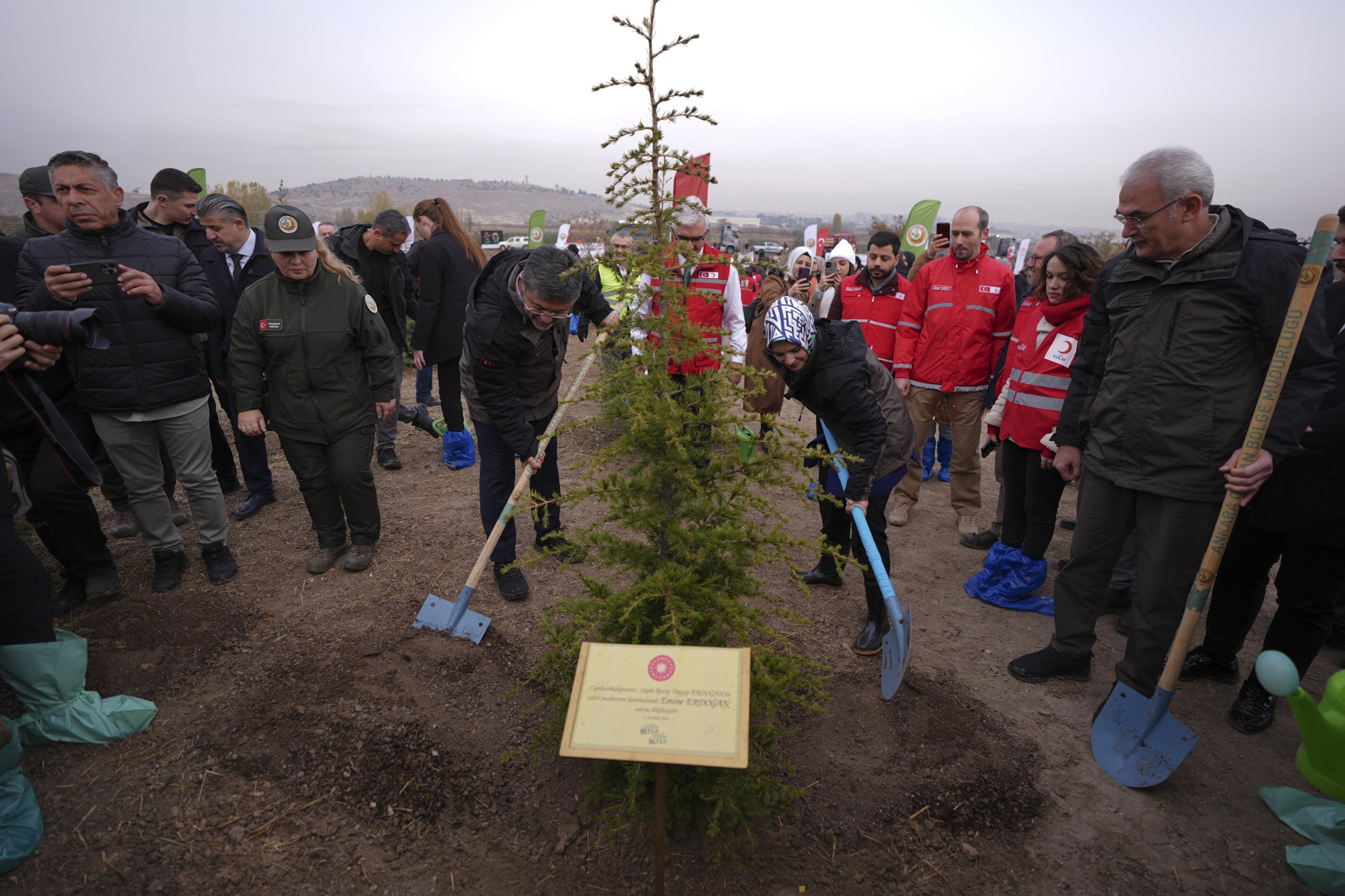 National Forestation Day in Türkiye honors Gaza with sapling planting