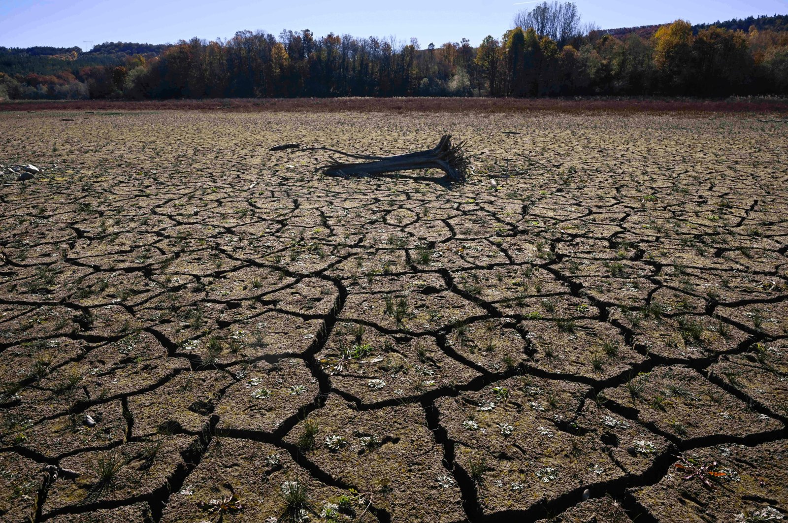 The dried Yovkovtsi dam, near the town of Elena, central Bulgaria, Nov. 8, 2024. (AFP Photo)