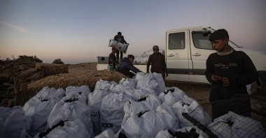 Gazans load a truck of completed charcoal at a charcoal production facility near displaced people's tents, Khan Yunis, Gaza Strip, Palestine, Oct. 30, 2024. (EPA Photo)