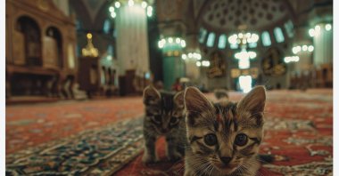 Stray kittens explore a mosque, Istanbul, Türkiye, Nov. 12, 2024. (DHA Photo)