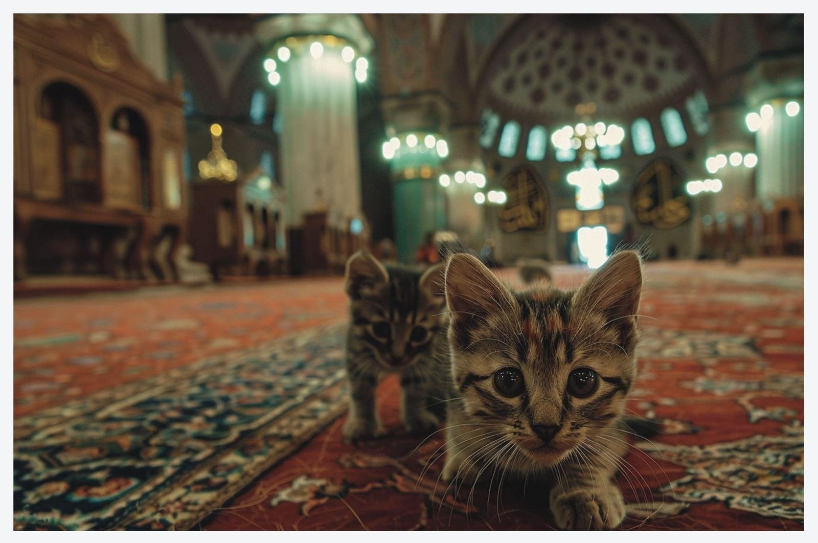 AI-driven 'Cats of Topkapı' captures Istanbul’s iconic street cats ...