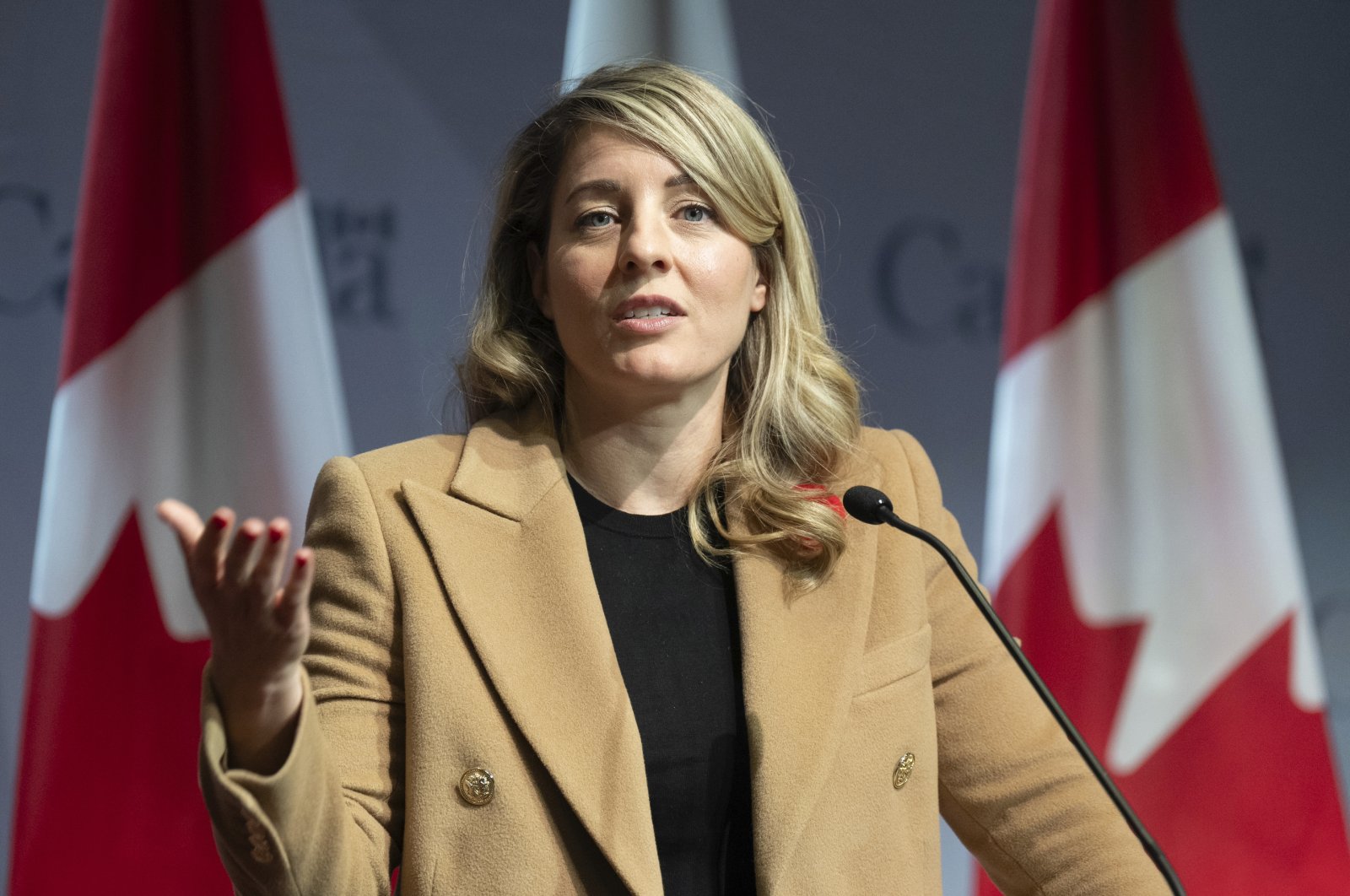 Canada&#039;s Foreign Minister Melanie Joly responds to a question during a news conference in Ottawa, Canada, Nov. 1, 2024. (AP Photo)