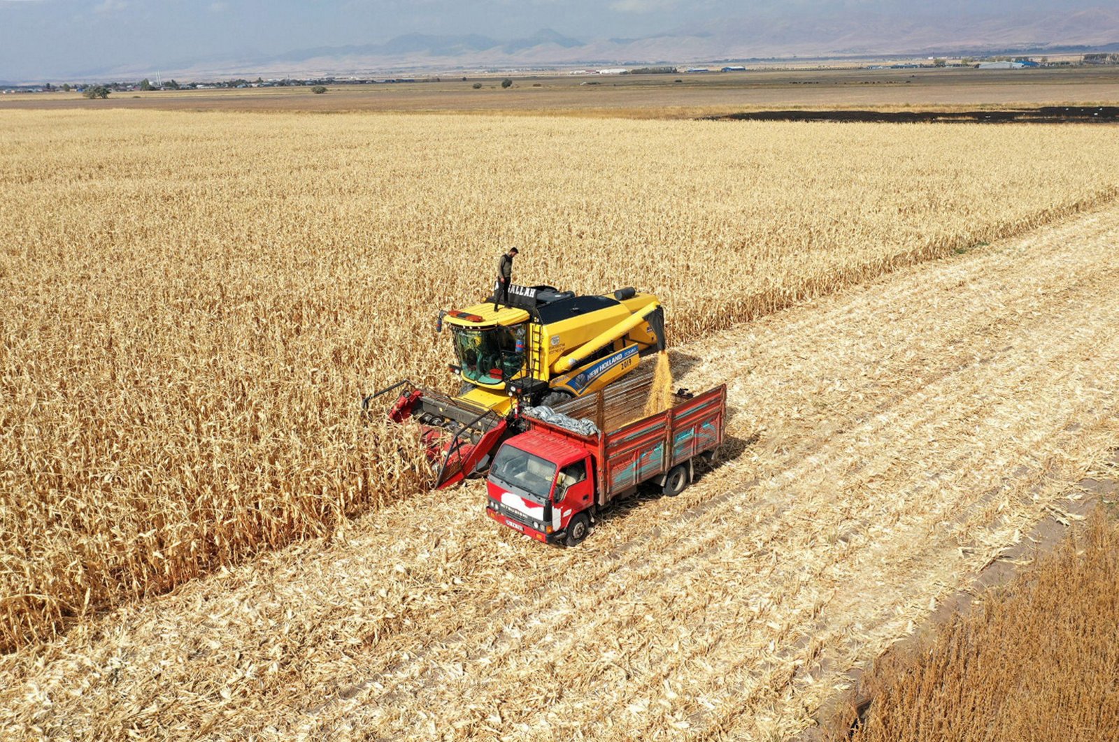 &quot;Large plain protection areas&quot; to preserve agriculture and prevent land degradation, Ankara, Türkiye, Nov. 14, 2024. (AA Photo)