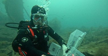 Lobsters released into the wreck of the HMS Majestic off the coast of Eceabat, Çanakkale, Türkiye, Nov. 18, 2024. (DHA Photo)