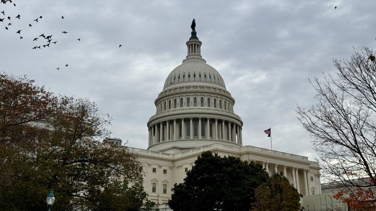 The U.S. Capitol is seen in Washington DC, Nov. 10, 2024. (AFP Photo)