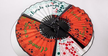 Representing Türkiye, painter and academic Seval Özcan participated in the "MAMA - Mother Nature International Art Project" held at COP29. (Courtesy of Seval Özcan)