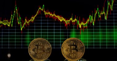 Bitcoin tokens and a price chart are seen in this illustration picture taken on Nov. 21, 2024. (Reuters Photo)