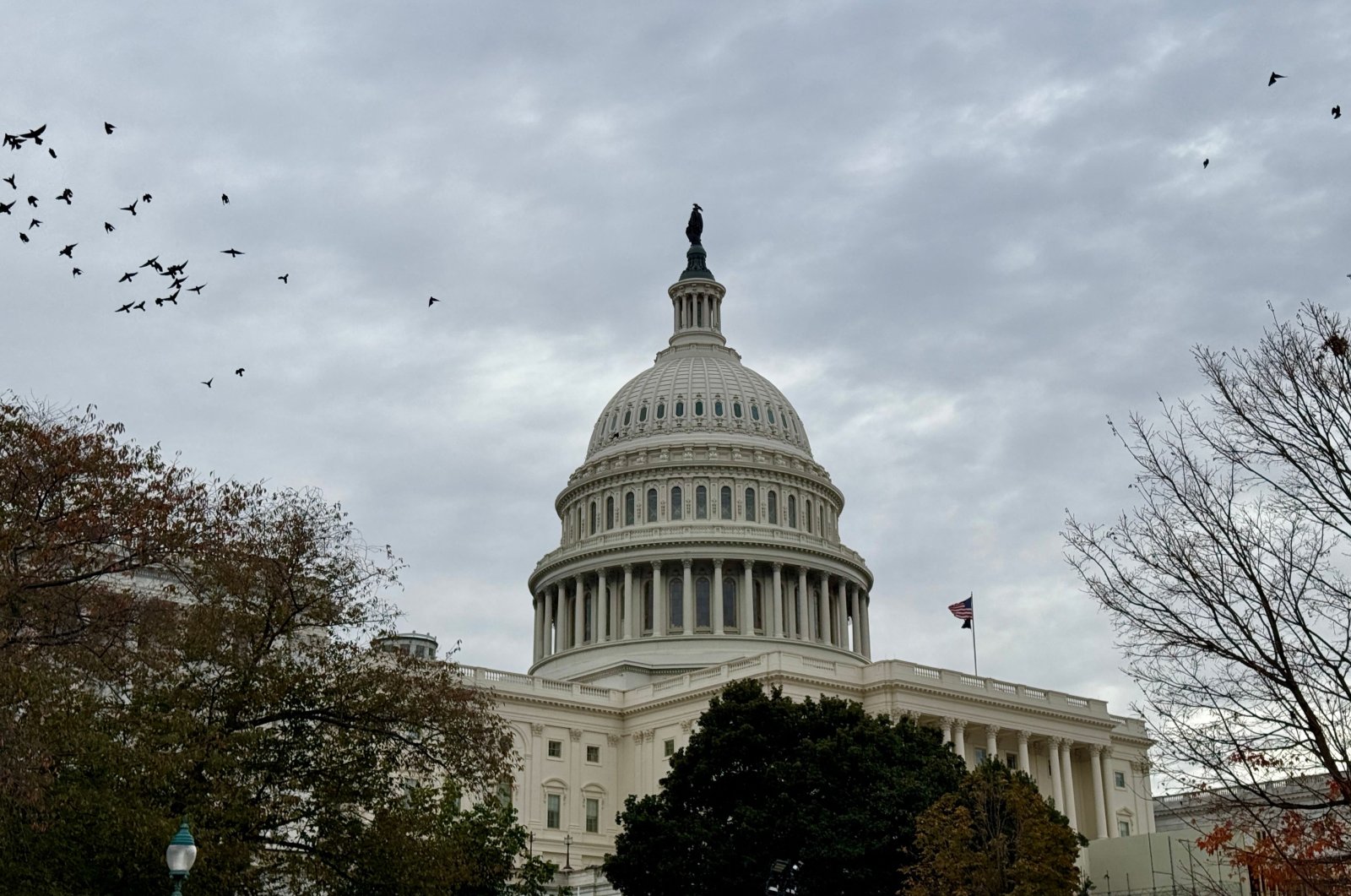 The U.S. Capitol is seen in Washington DC, Nov. 10, 2024. (AFP Photo)