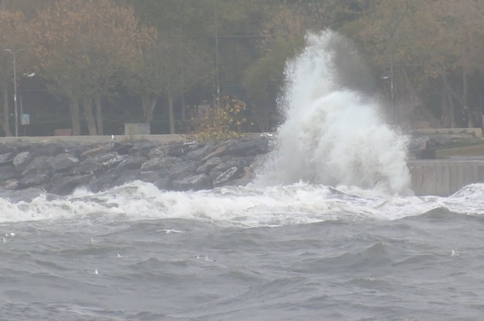 Strong winds create massive waves at Kalamış Beach, flooding part of the shore, Kadıköy, Istanbul, Türkiye, Nov. 21, 2024. (DHA Photo) 