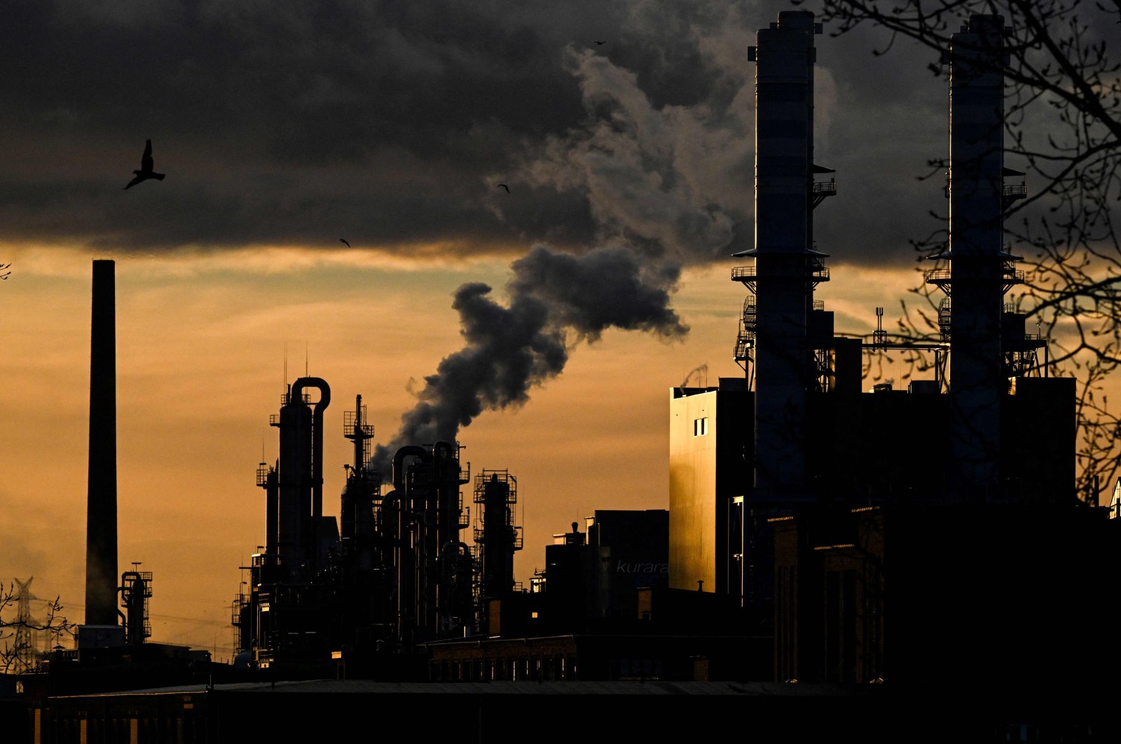 Birds fly over an industrial area during sunset in Frankfurt am Main, western Germany, Jan. 4, 2024. (AFP Photo)