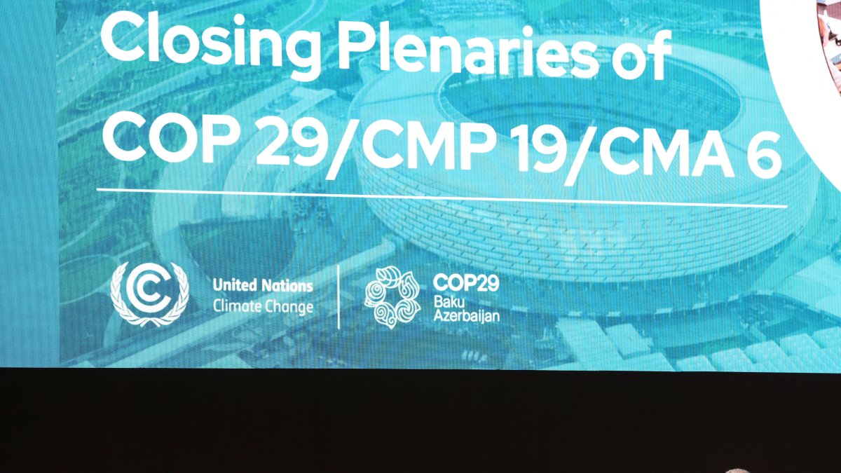 COP29 clinches $300B climate finance deal, deemed 'insufficient'