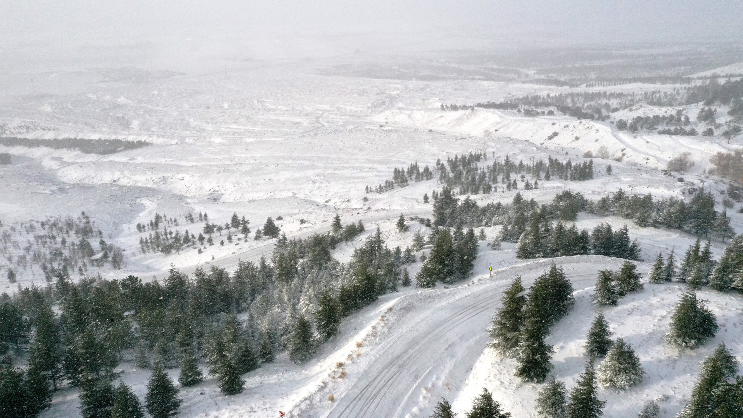 A drone shot of the forested area with pine trees in the Bozdağ region, Eskişehir, Türkiye, Nov. 24, 2024. (AA Photo)