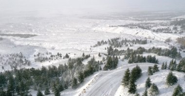 A drone shot of the forested area with pine trees in the Bozdağ region, Eskişehir, Türkiye, Nov. 24, 2024. (AA Photo)