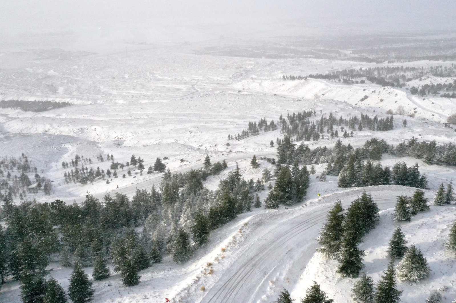 A drone shot of the forested area with pine trees in the Bozdağ region, Eskişehir, Türkiye, Nov. 24, 2024. (AA Photo)